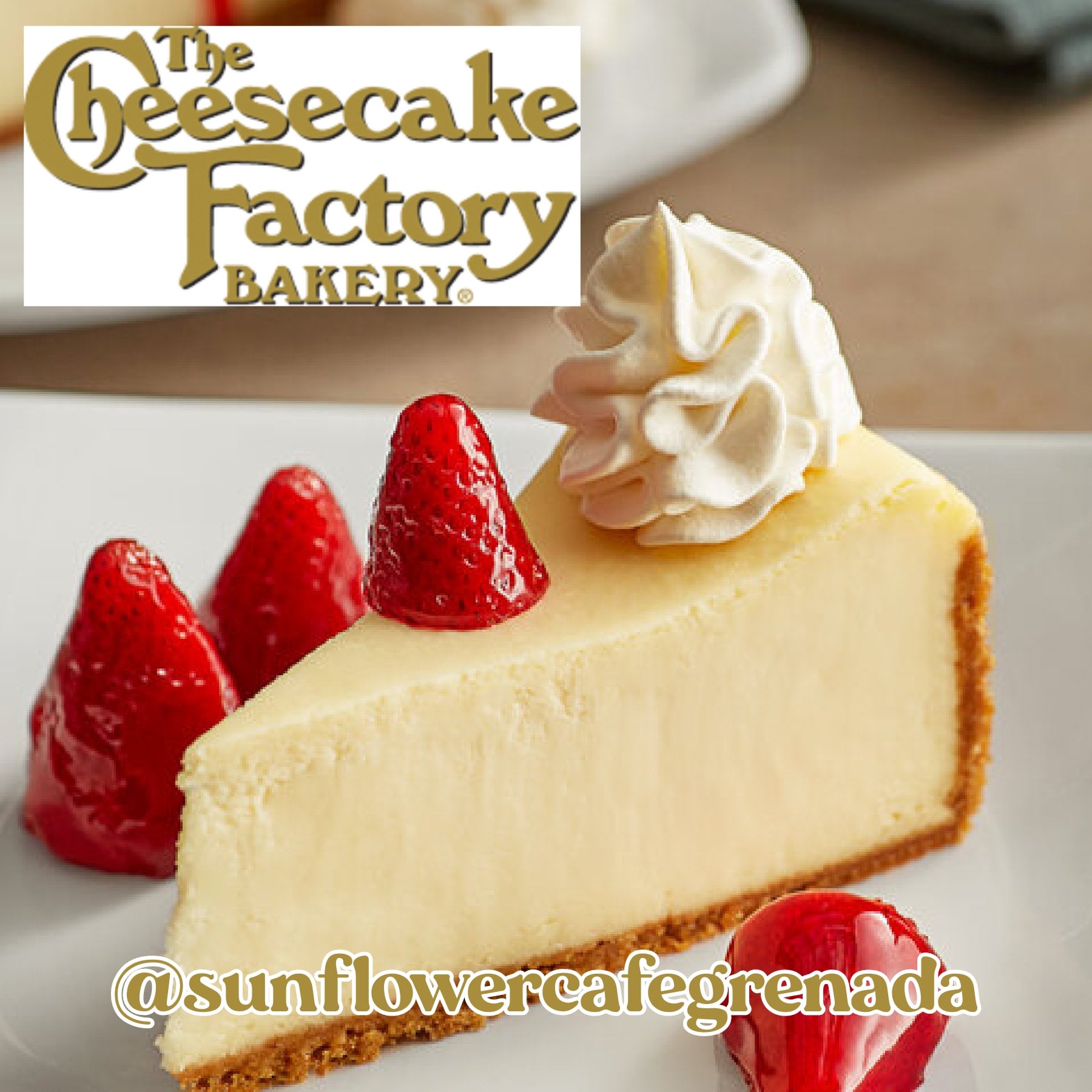 Cheesecake Factory Cheesecake Sunflower Cafe & Grill Grenada, MS